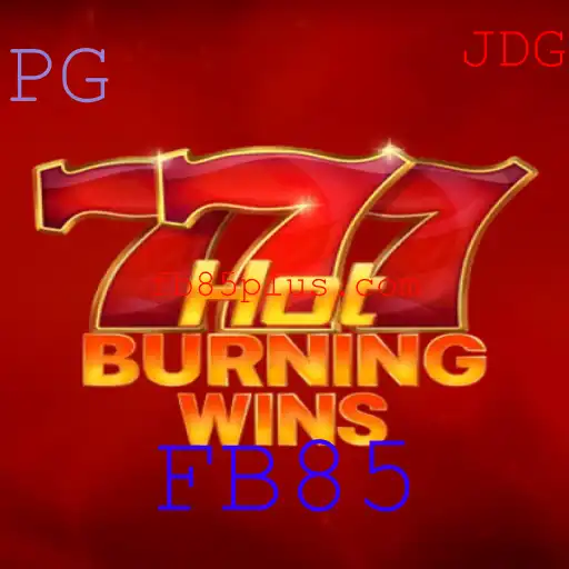 Explorando o Fascinante Mundo de HotBurningWins: Um Mergulho nas Regras e Estratégias